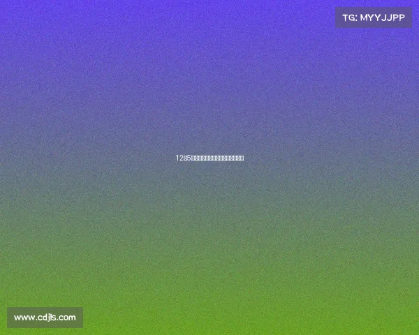 12月5日起，广州交警将投放车牌新号段