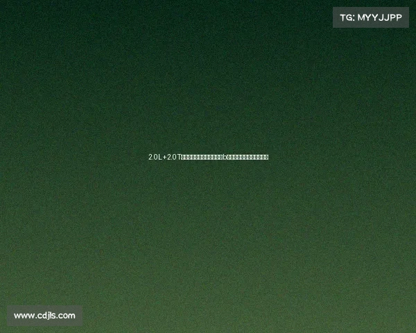 2.0L+2.0T两条腿走路，全系满足国六b排放，解析天籁的动力系统